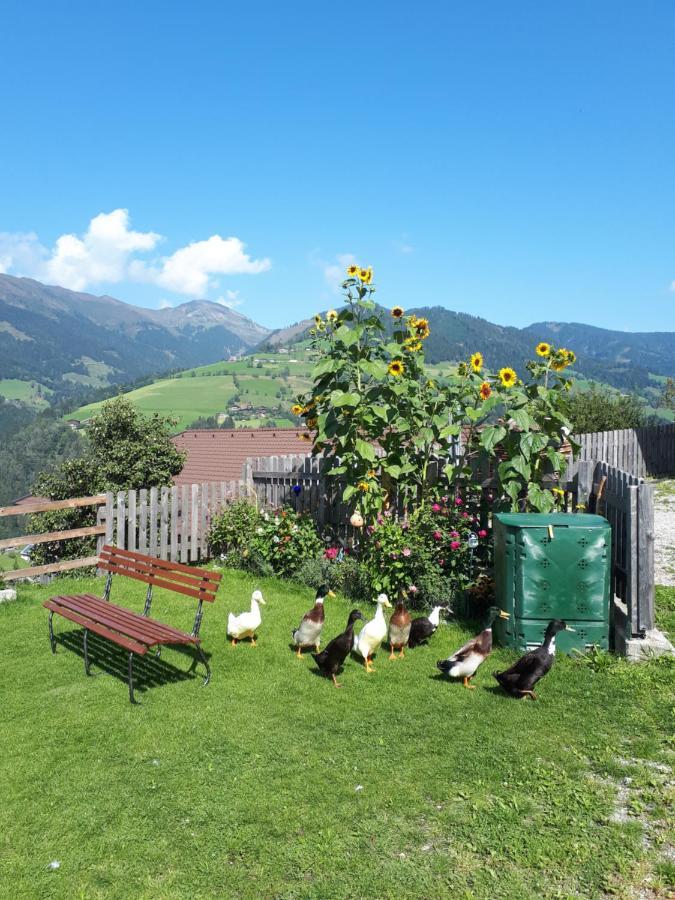 Ferienhaus Unterblasbichl Villa Fusch an der Glocknerstraße Exterior foto